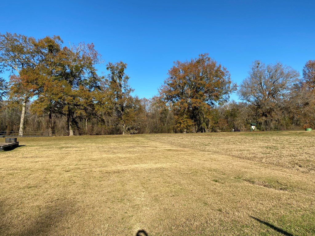 159 Rivers Run Waynesboro, GA 30830 - Photo 14 of 14