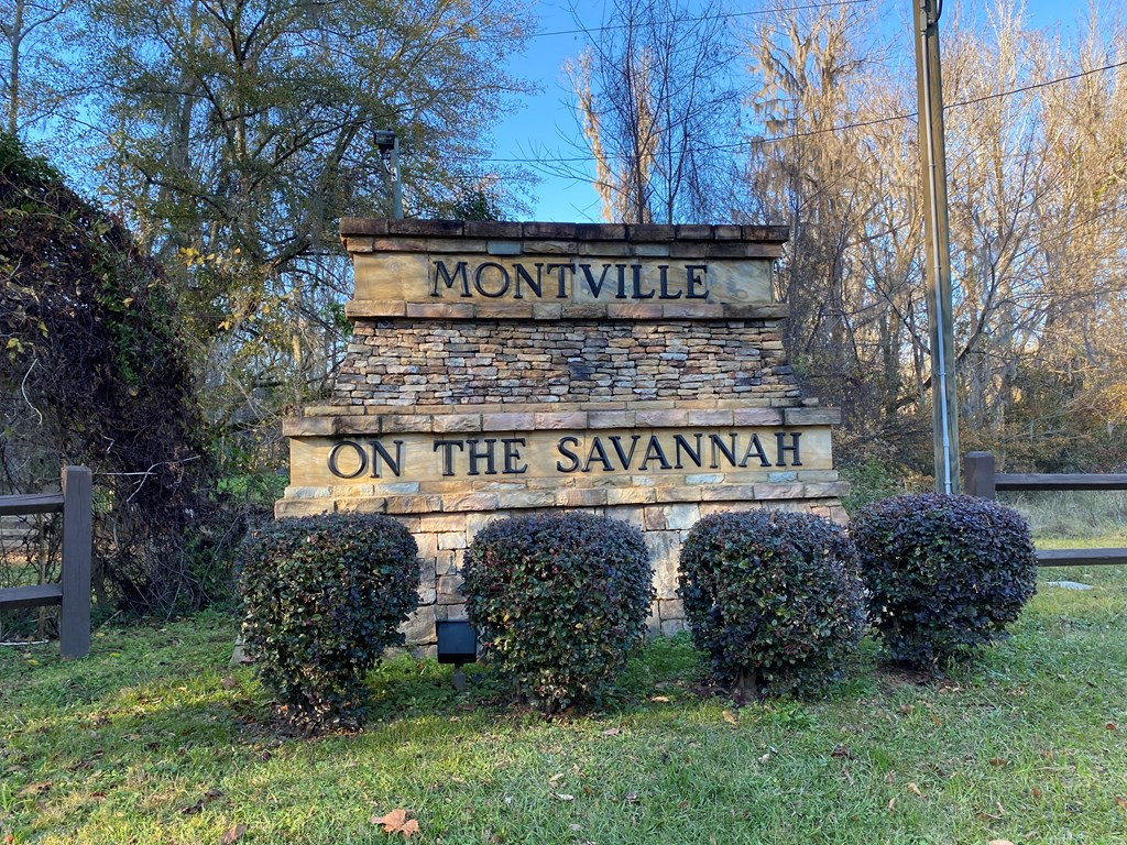 159 Rivers Run Waynesboro, GA 30830 - Photo 3 of 14