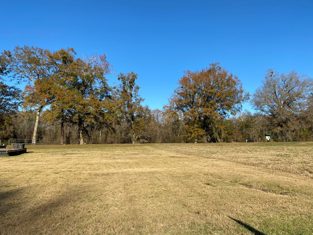 159 Rivers Run Waynesboro, GA 30830 - Photo 6 of 14