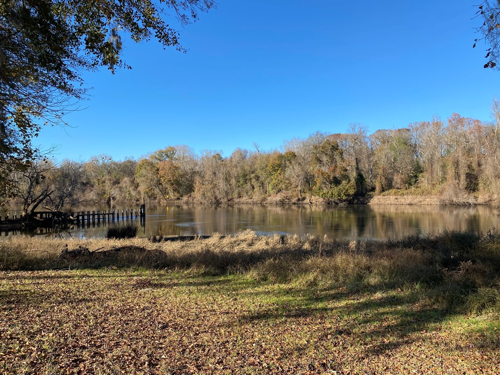 159 Rivers Run Waynesboro, GA 30830 - Photo 7 of 14