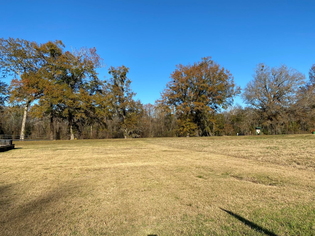 159 Rivers Run Waynesboro, GA 30830 - Photo 8 of 14