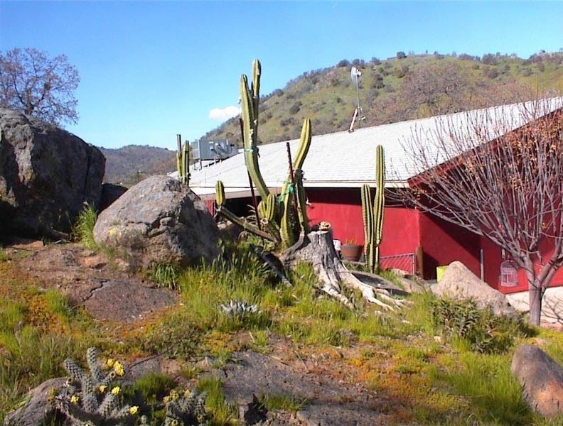 40837 Iris Road Squaw Valley, CA 93675 - Photo 21 of 38 Gallery Image 21