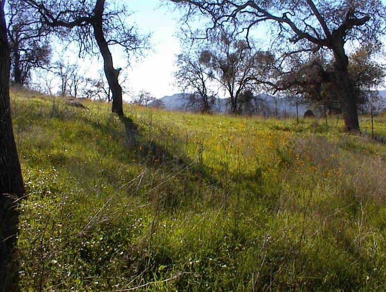 40837 Iris Road Squaw Valley, CA 93675 - Photo 27 of 38 Gallery Image 27