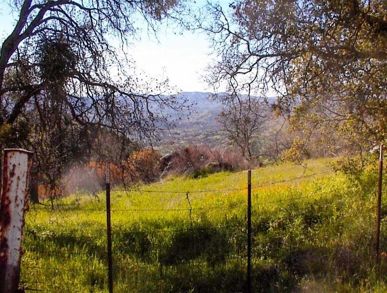 40837 Iris Road Squaw Valley, CA 93675 - Photo 29 of 38 Gallery Image 29