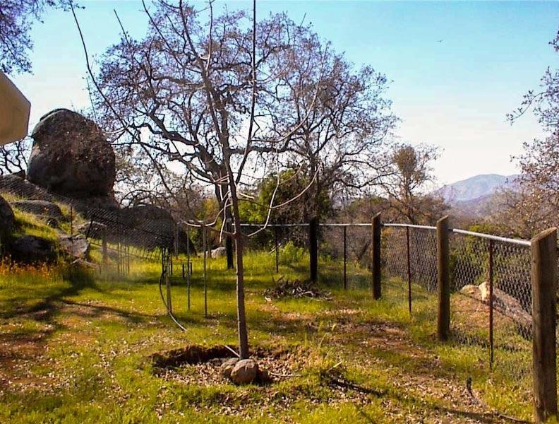40837 Iris Road Squaw Valley, CA 93675 - Photo 8 of 38 Gallery Image 8