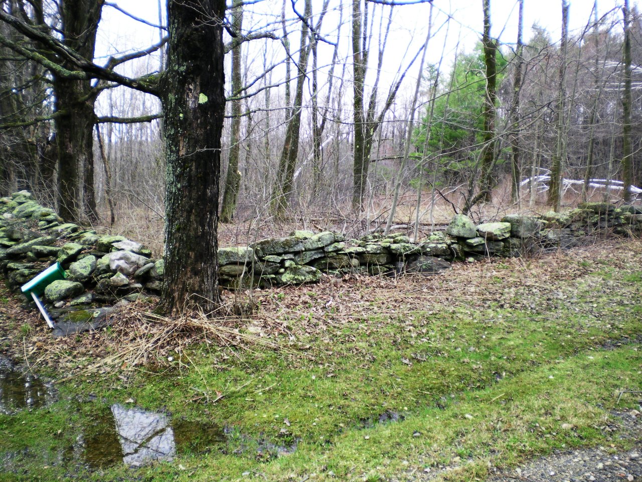 2 Kreutzer Road Peru, MA 01235 - Photo 1 of 7 a backyard of a house with lots of green space