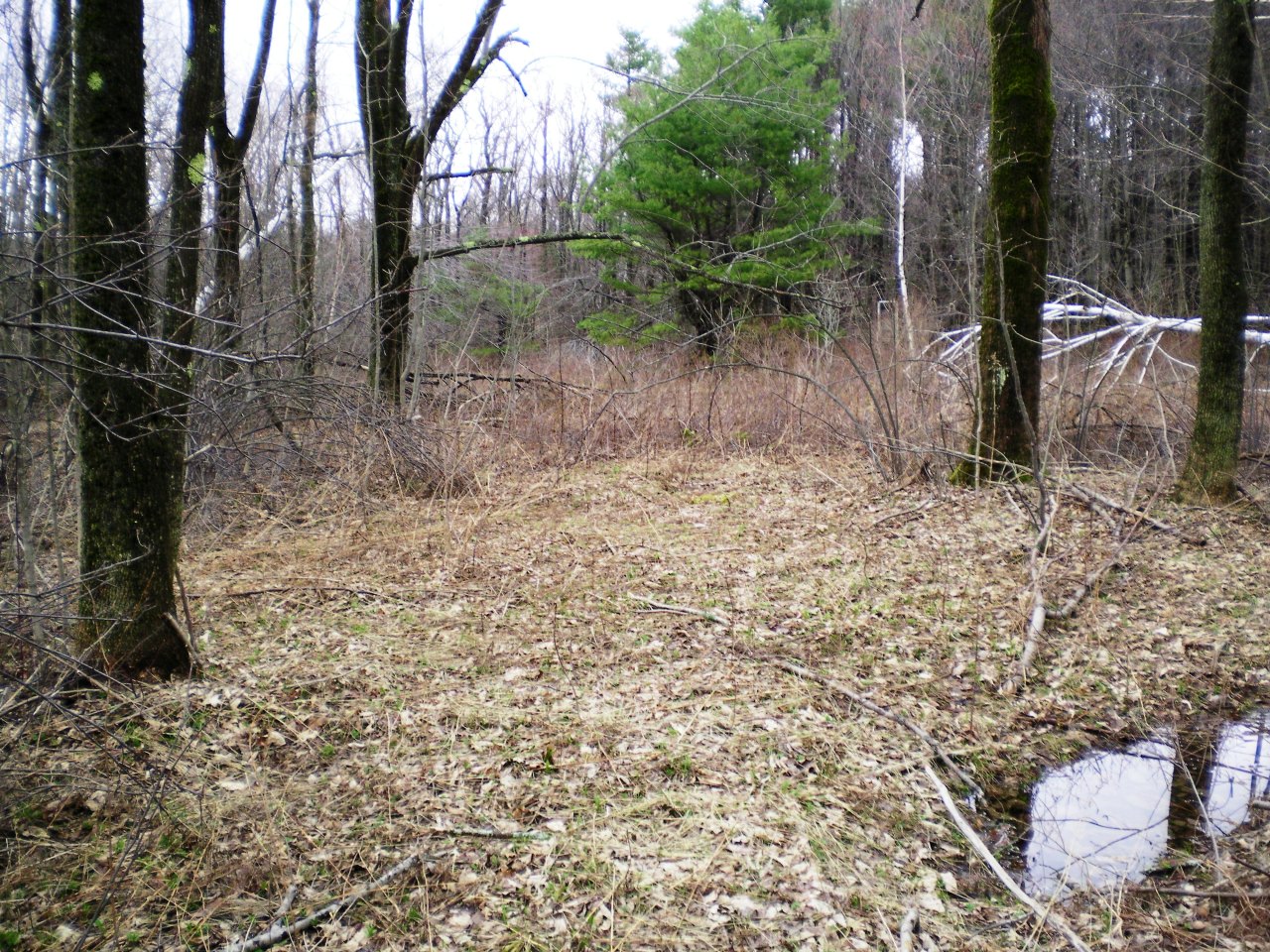 2 Kreutzer Road Peru, MA 01235 - Photo 3 of 7 a backyard of a house with lots of green space