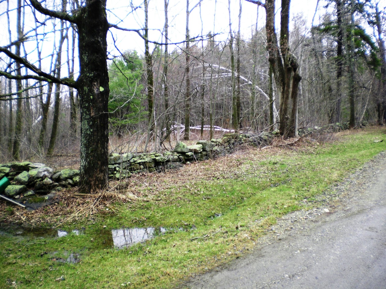2 Kreutzer Road Peru, MA 01235 - Photo 4 of 7 a backyard of a house with lots of green space