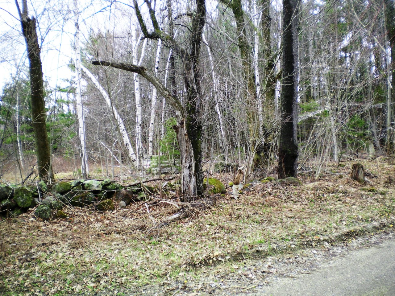 2 Kreutzer Road Peru, MA 01235 - Photo 5 of 7 a backyard of a house with lots of green space