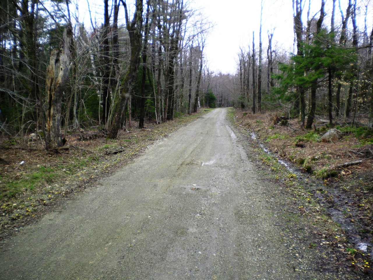 2 Kreutzer Road Peru, MA 01235 - Photo 6 of 7 a view of a field with trees in the background