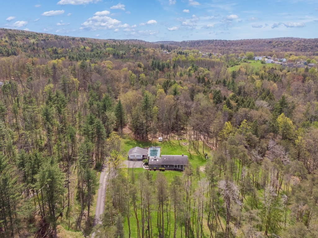 434 Tobey Road Apalachin, NY 13732 - Photo 4 of 21 Gallery Image 4