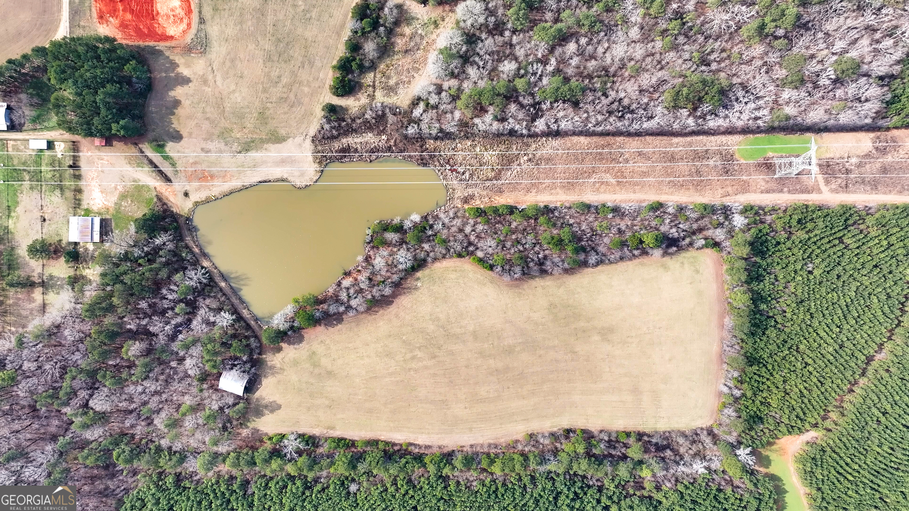 0 Colvin Forsyth, GA 31029 - Photo 11 of 23