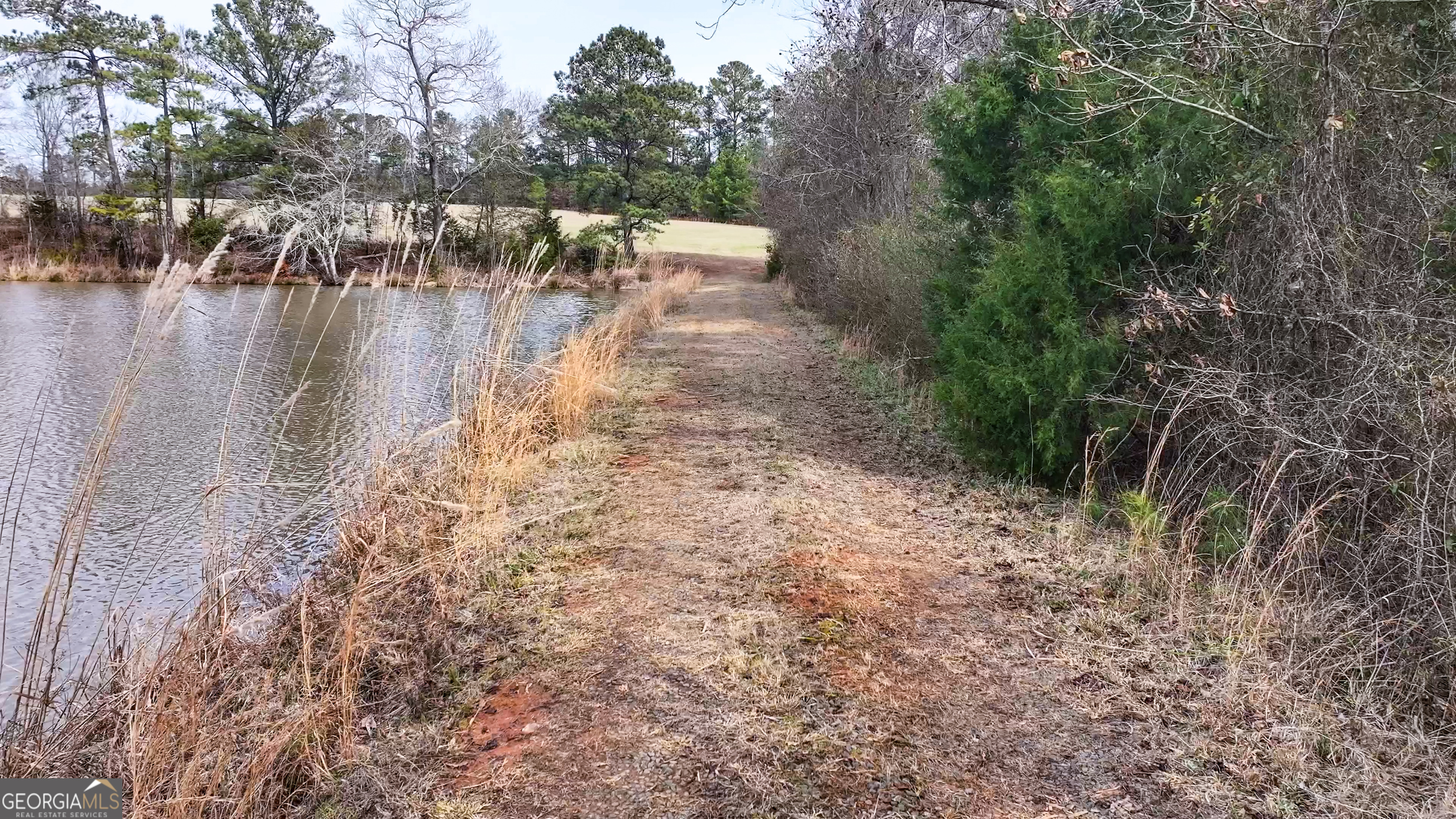 0 Colvin Drive Forsyth, GA 31029 - Photo 14 of 23 a view of river covered with trees