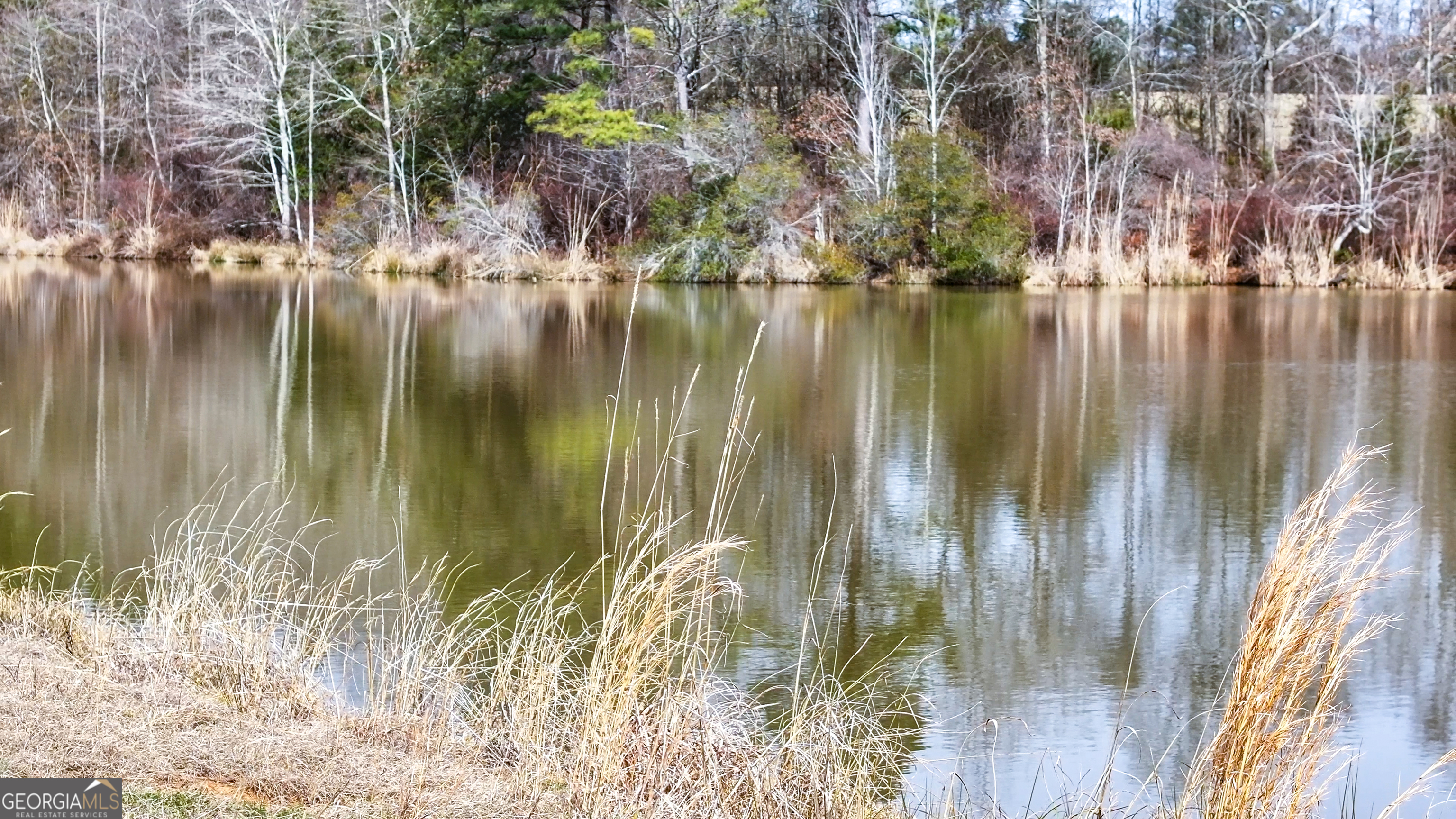 0 Colvin Forsyth, GA 31029 - Photo 2 of 23