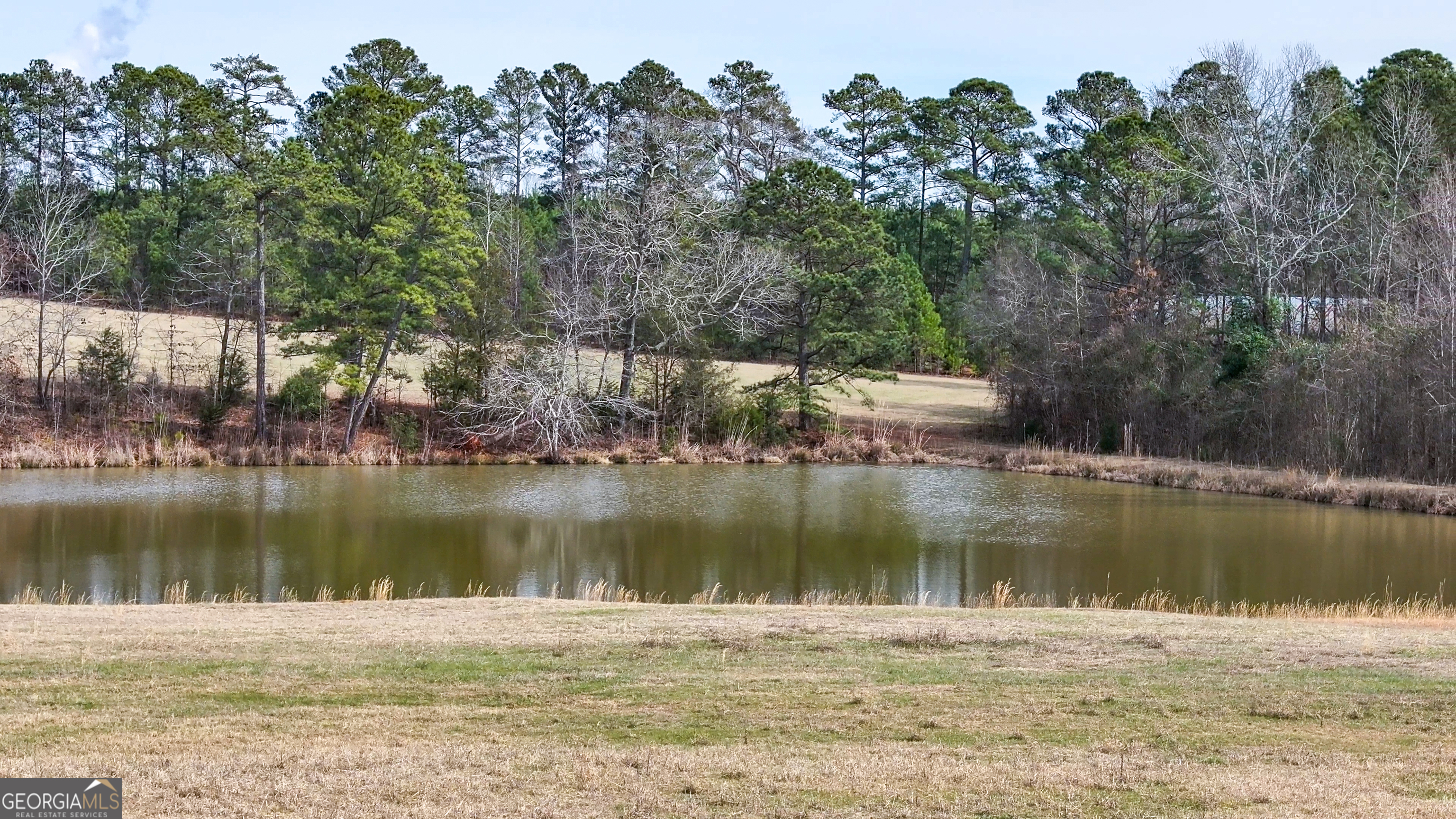 0 Colvin Forsyth, GA 31029 - Photo 3 of 23