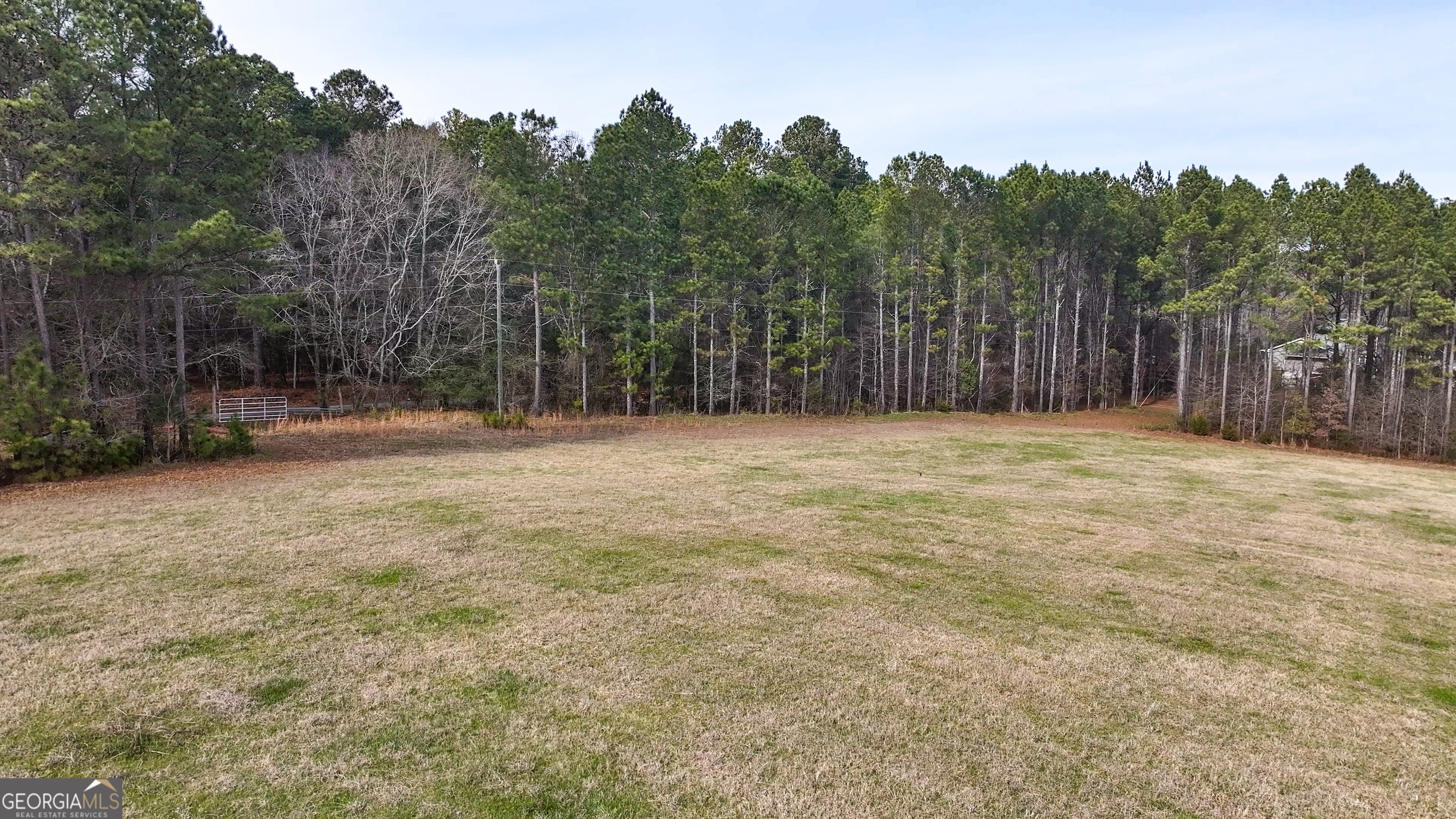 0 Colvin Forsyth, GA 31029 - Photo 6 of 23