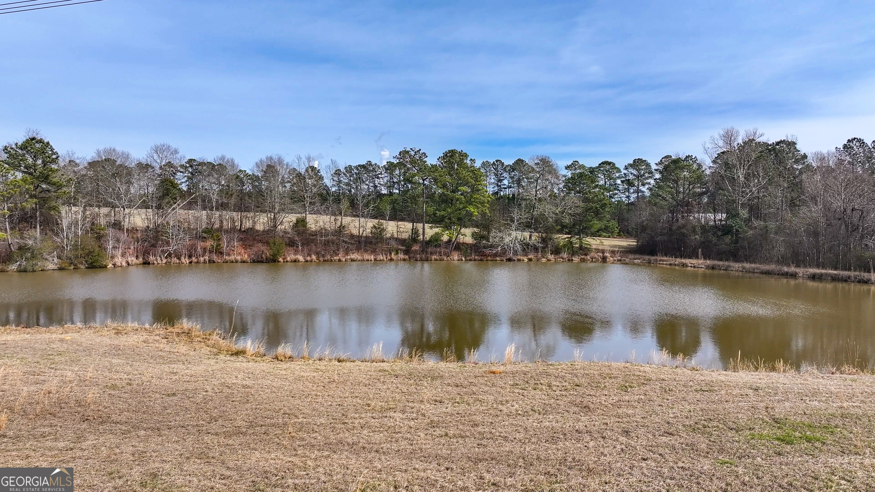 0 Colvin Drive Forsyth, GA 31029 - Photo 9 of 23 a view of a lake