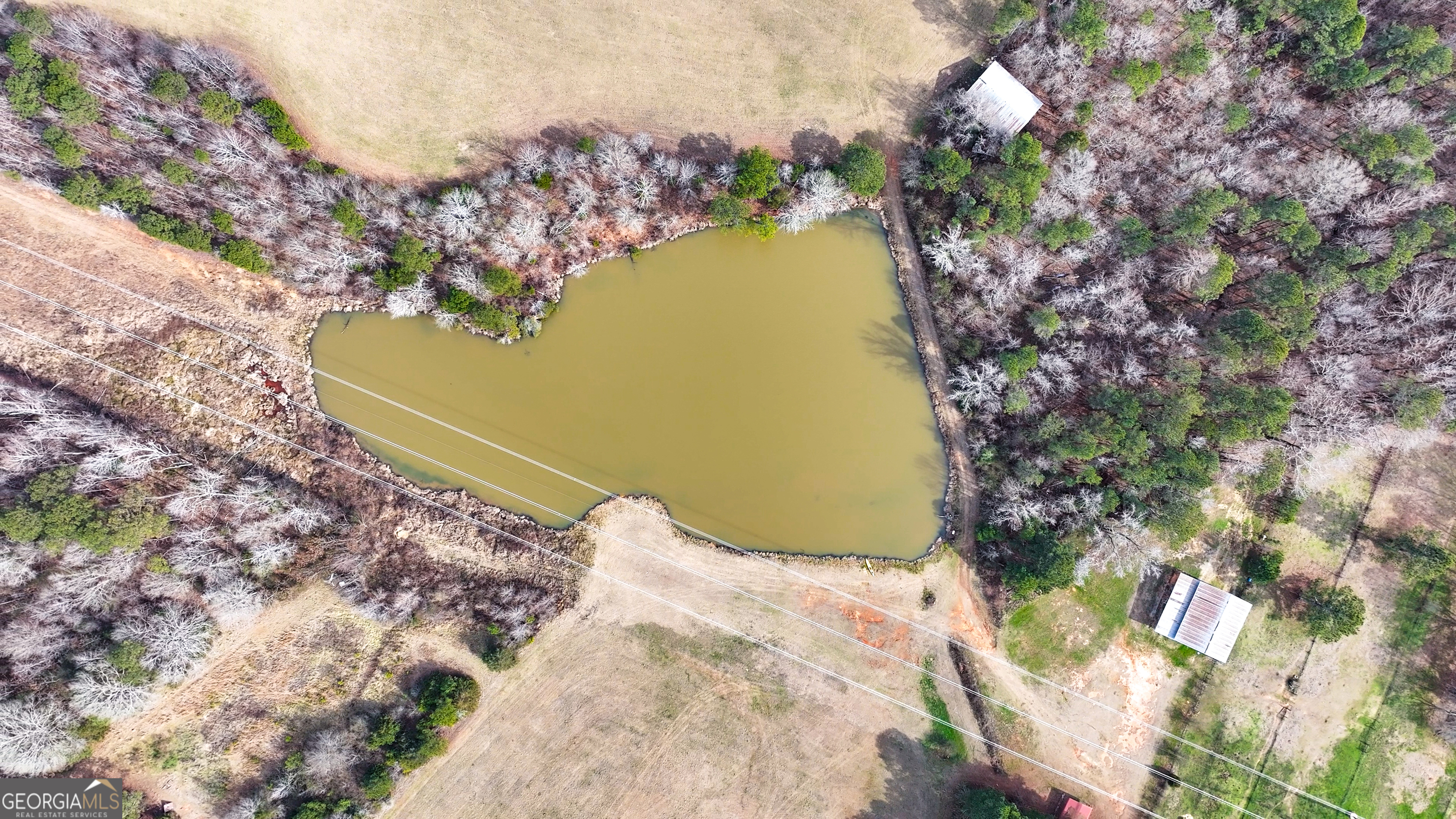 0 Colvin Forsyth, GA 31029 - Photo 10 of 23