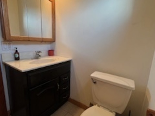1581 South 4th Avenue Kankakee, IL 60901 - Photo 16 of 18 a bathroom with a sink and a toilet