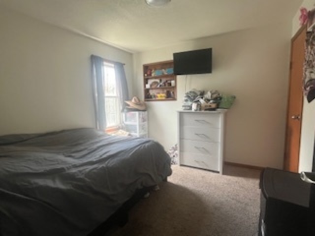 1581 South 4th Avenue Kankakee, IL 60901 - Photo 6 of 17