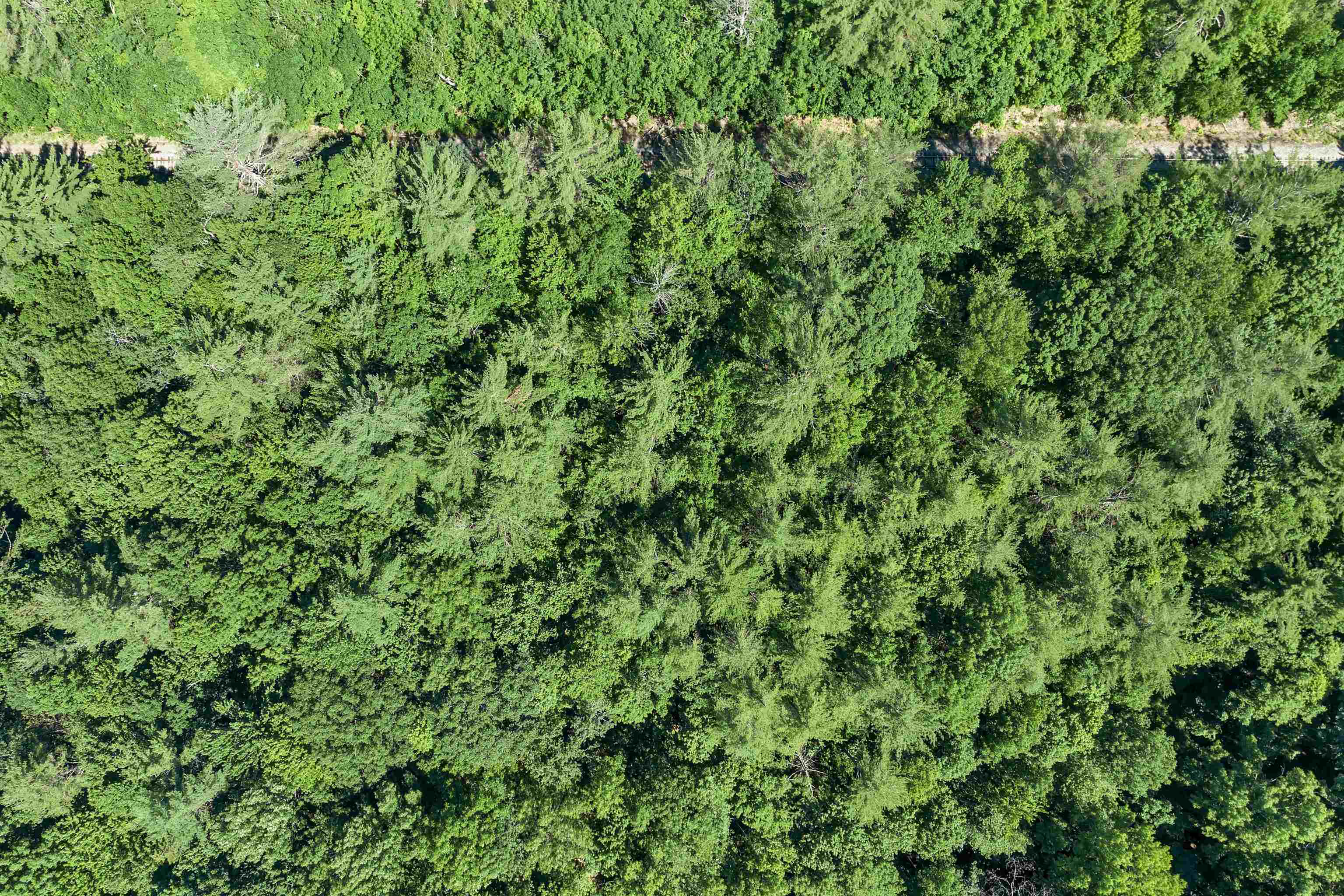 302 Us Route, Unit 1 2 Bartlett, NH 03812 - Photo 18 of 20