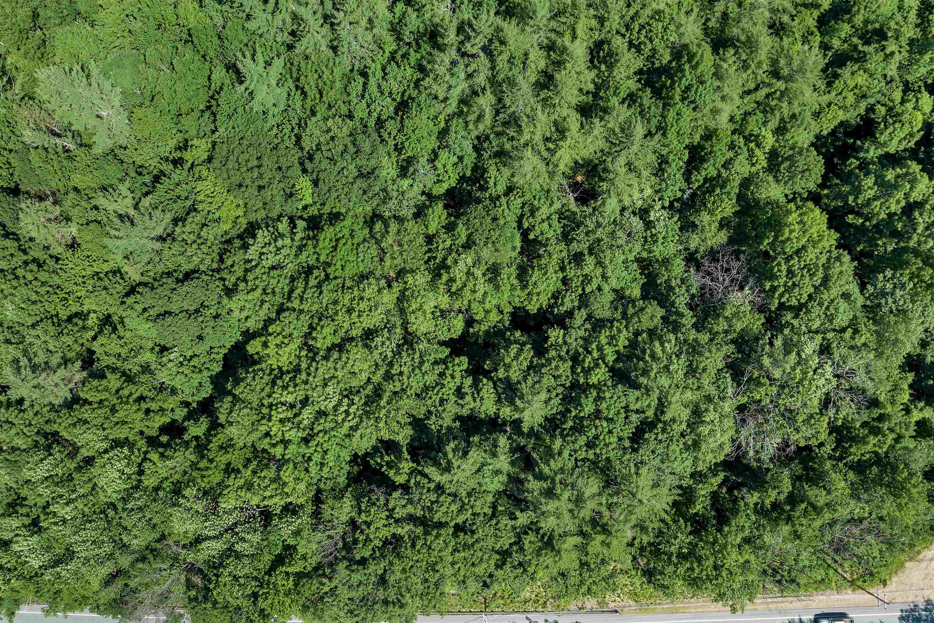 302 Us Route, Unit 1 2 Bartlett, NH 03812 - Photo 19 of 20