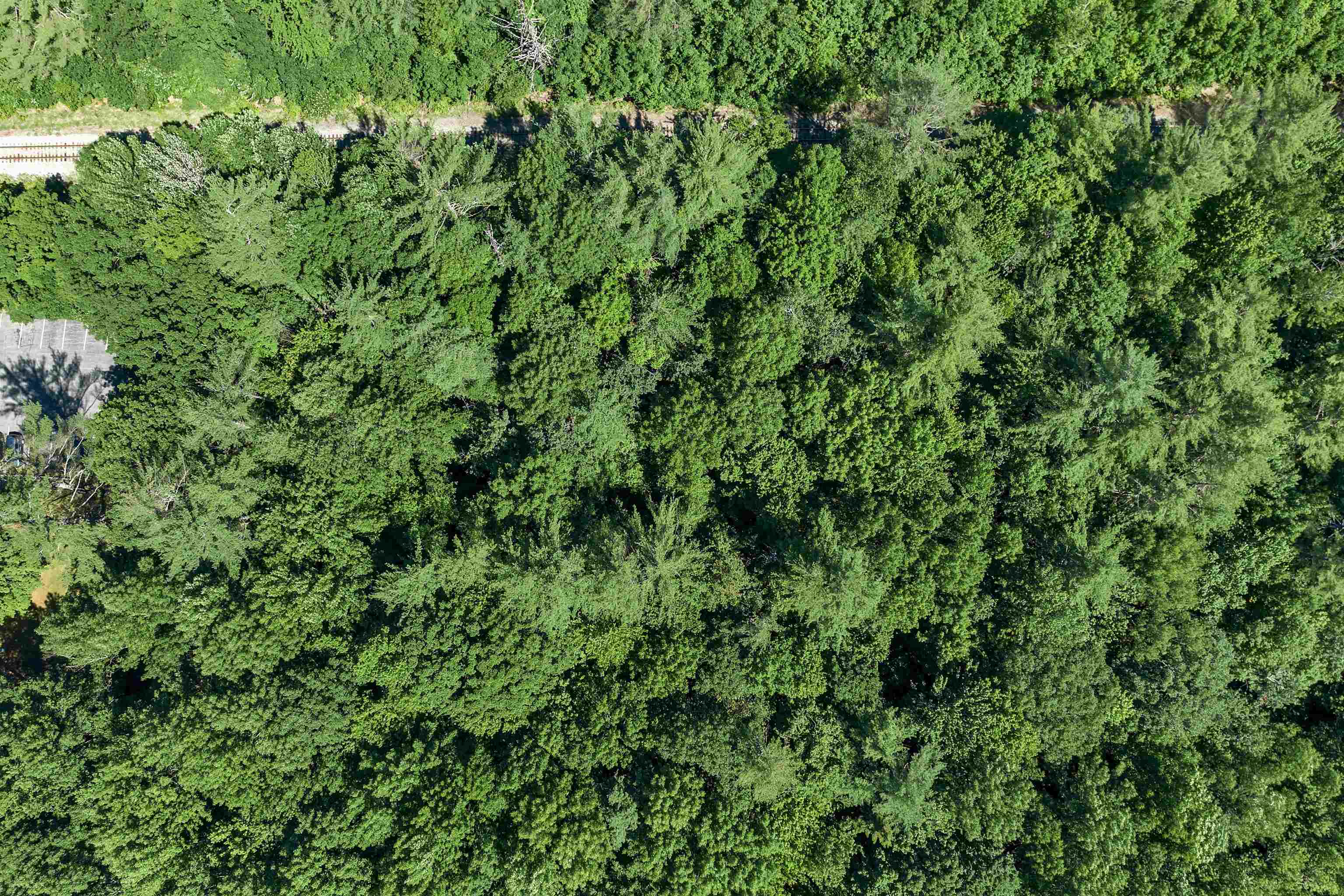 302 Us Route, Unit 1 2 Bartlett, NH 03812 - Photo 20 of 20