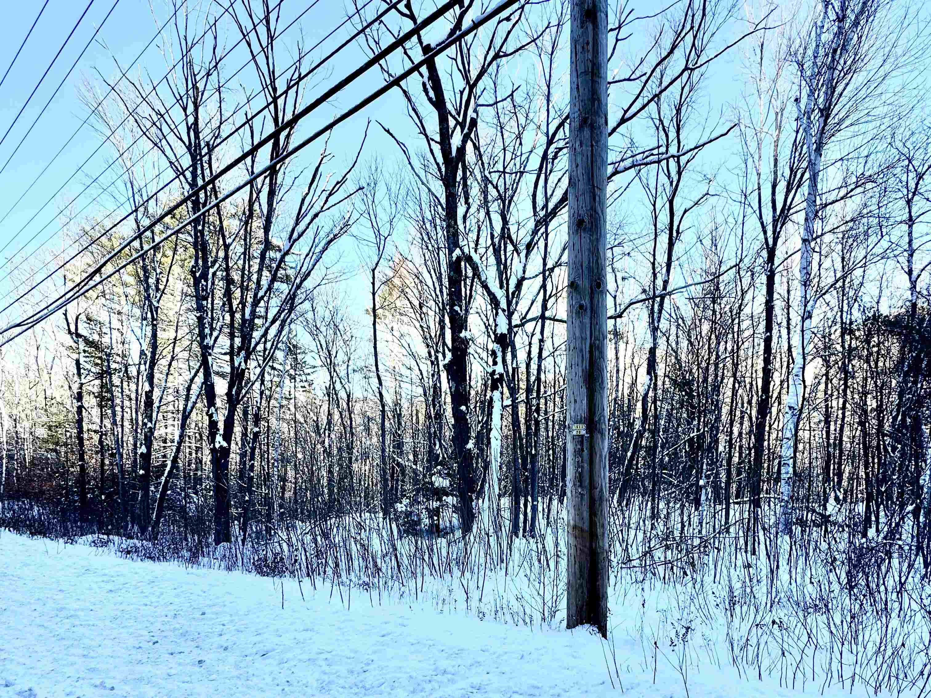 302 Us Route, Unit 1 2 Bartlett, NH 03812 - Photo 2 of 20