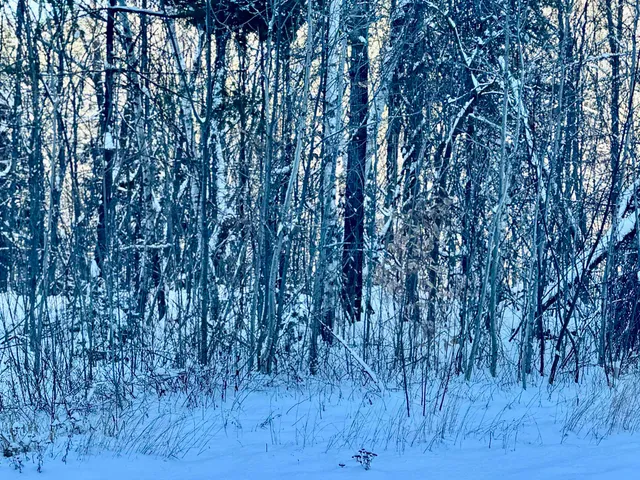 $218,000 | 302 Us Route, Unit 1 2, Bartlett, NH 03812