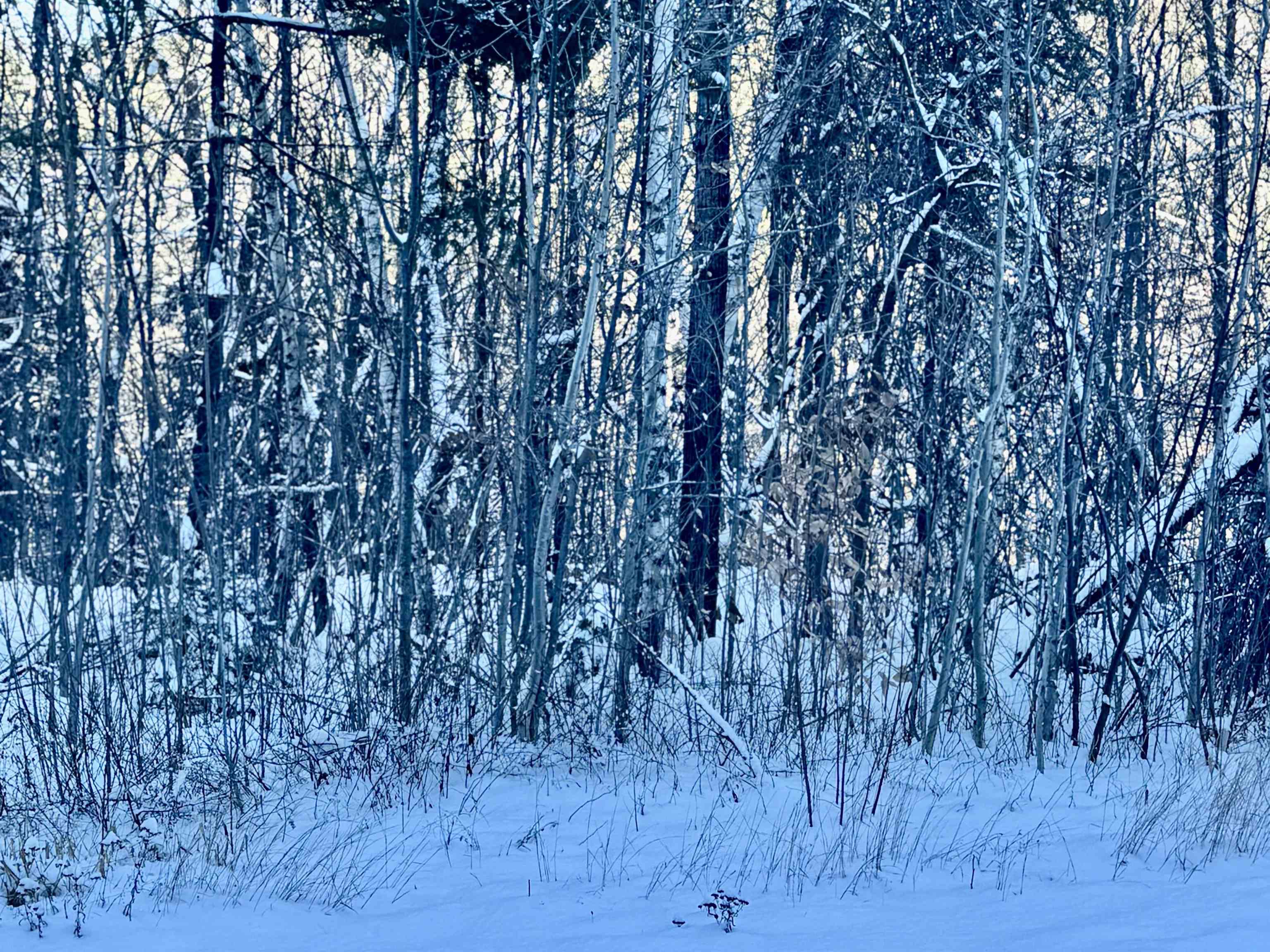 302 Us Route, Unit 1 2 Bartlett, NH 03812 - Photo 4 of 20