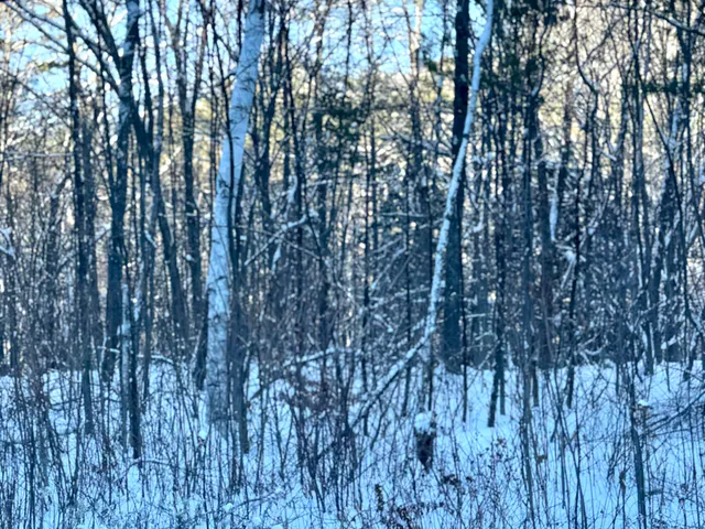 $218,000 | 302 Us Route, Unit 1 2, Bartlett, NH 03812