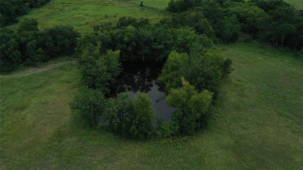 1 Fm-1240 Riesel, TX 76682 - Photo 6 of 11 a view of a lush green forest with lots of trees