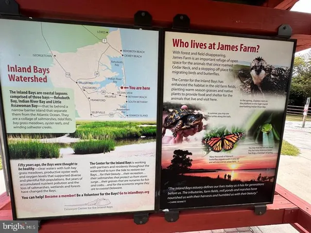 $320,000 | 30413 Cedar Neck Road, Unit 304, Ocean View, DE 19970