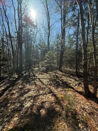 $69,000 | 40 Eastwood Court, Chamberlain, ME 04541