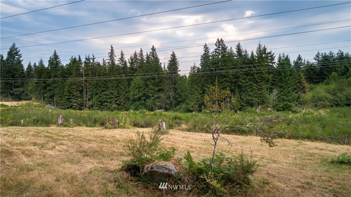 1911 East Rasor Road Belfair, WA 98528 - Photo 34 of 35 Gallery Image 34