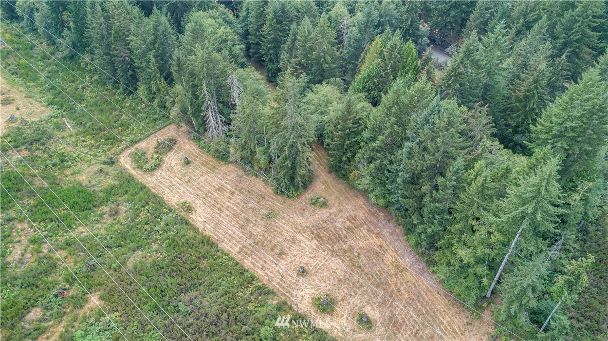 1911 East Rasor Road Belfair, WA 98528 - Photo 35 of 35 Gallery Image 35