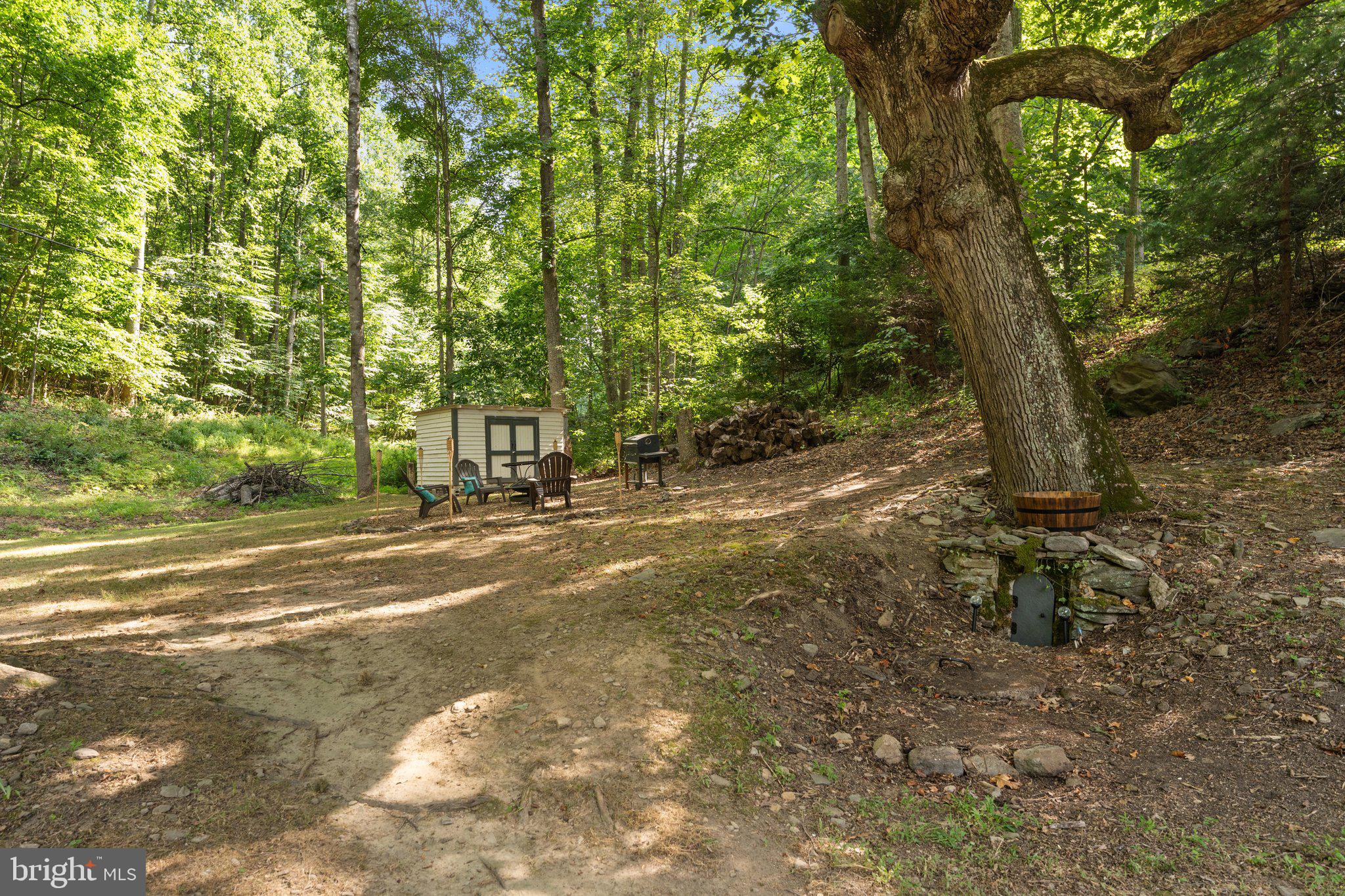 5459 Free State Road Marshall, VA 20115 - Photo 35 of 47 Great Outdoor Space