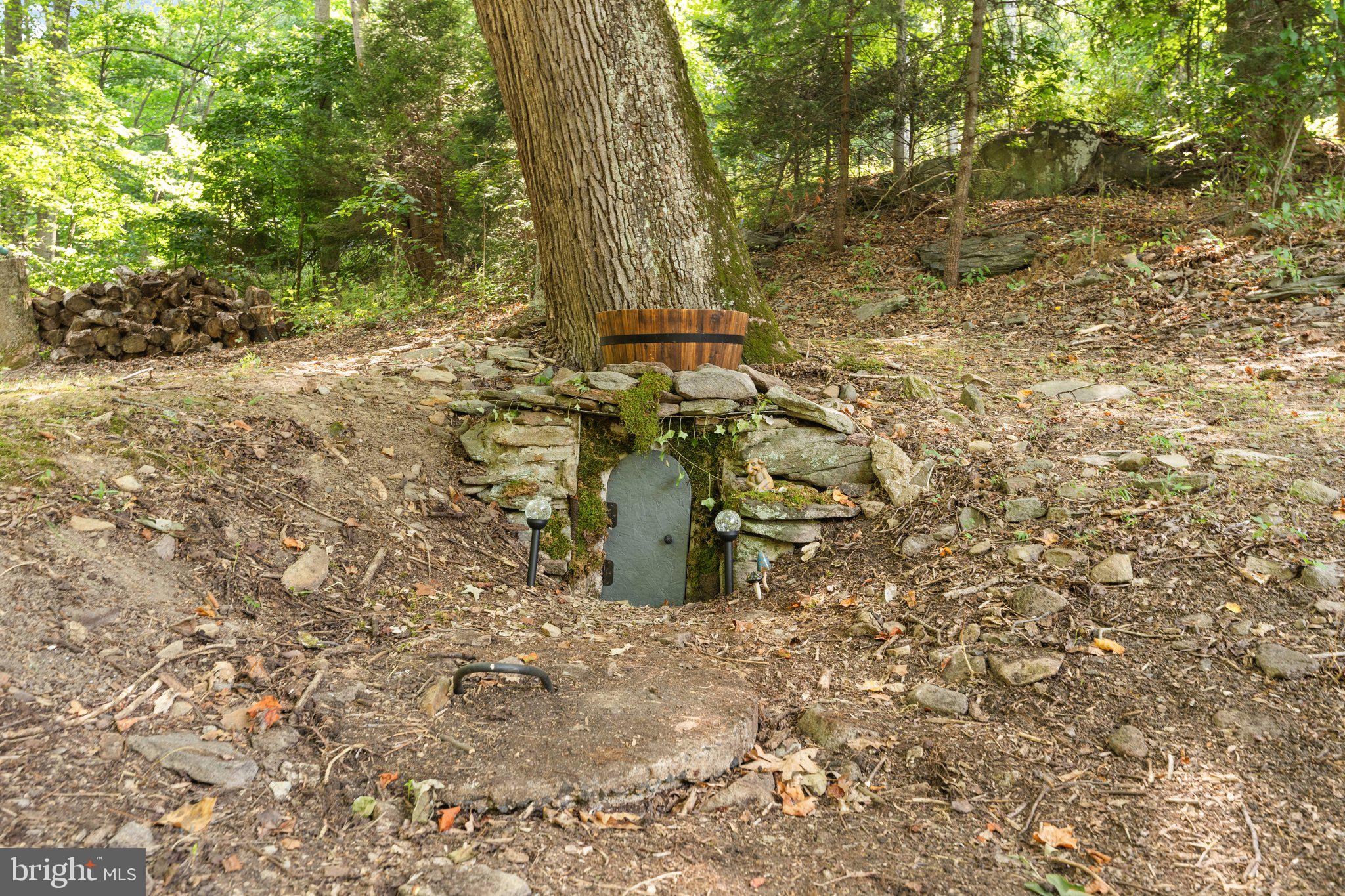 5459 Free State Road Marshall, VA 20115 - Photo 36 of 47 Property with History and Character