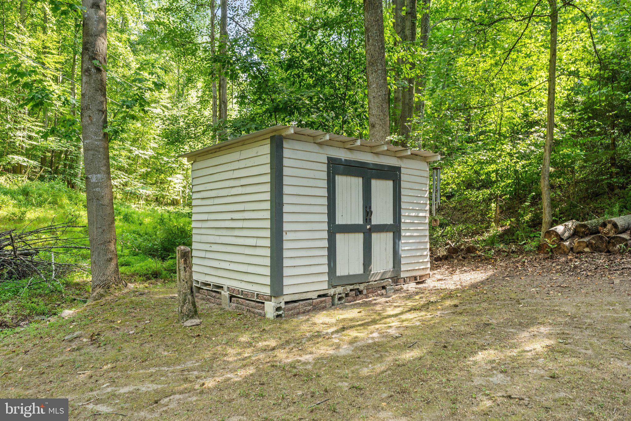 5459 Free State Road Marshall, VA 20115 - Photo 43 of 47 Shed 2