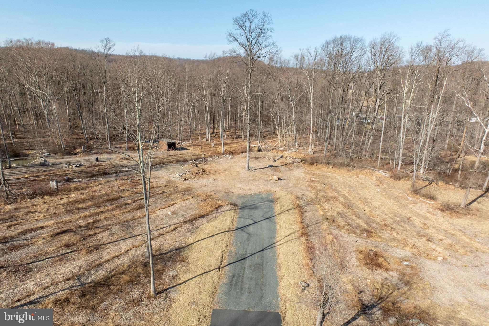 334 Forgedale Road Barto, PA 19504 - Photo 7 of 22 a view of a backyard of the house