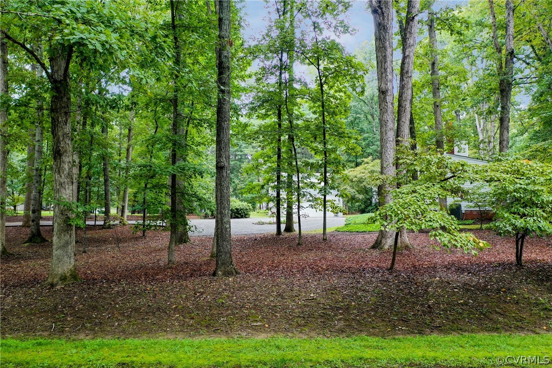 6 Broad Run Road Manakin-Sabot, VA 23103 - Photo 8 of 47 View of the Wooded Front Yard - So Peaceful!