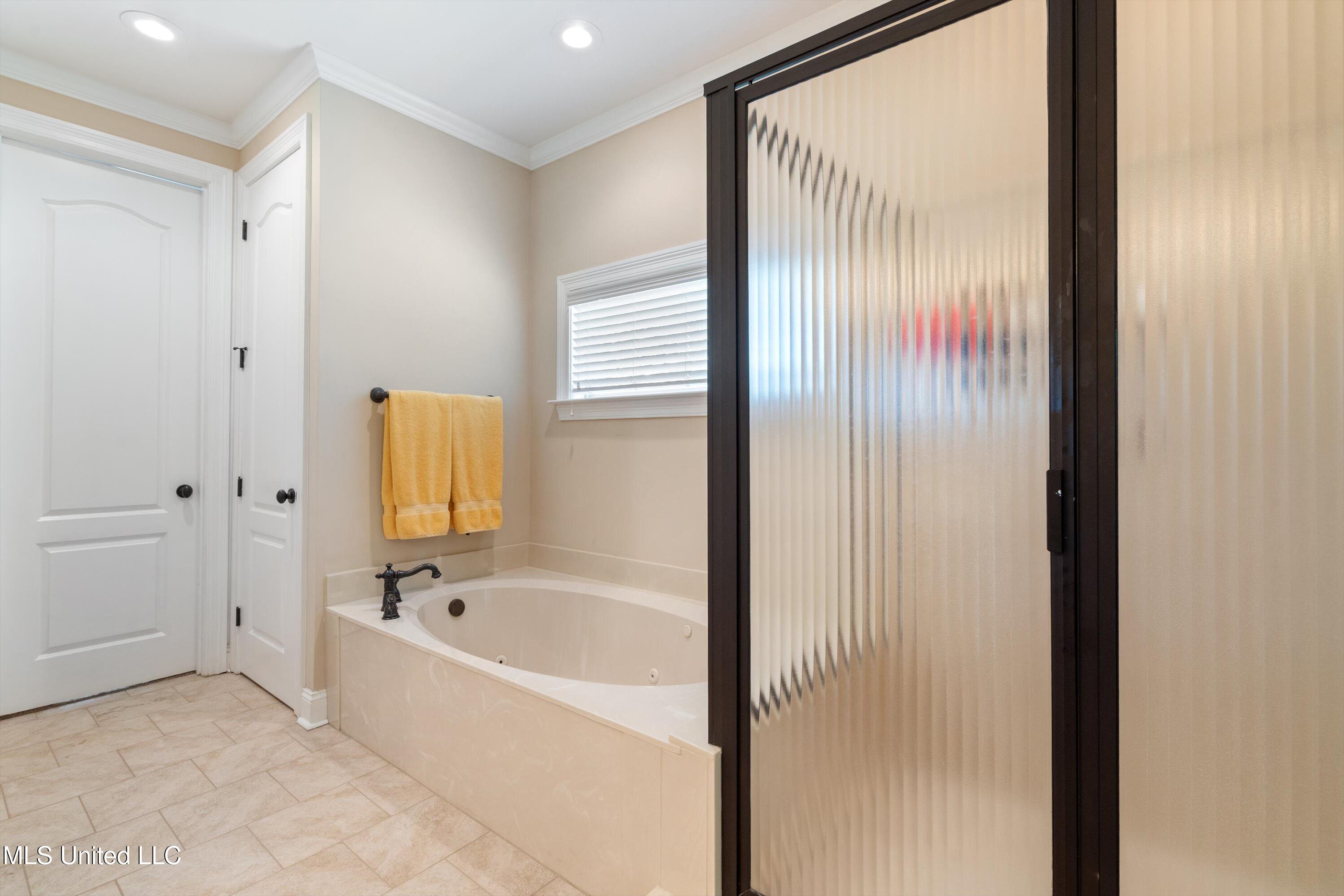 7672 Rigmoore Point North Olive Branch, MS 38654 - Photo 25 of 42 rig-primary bath 2