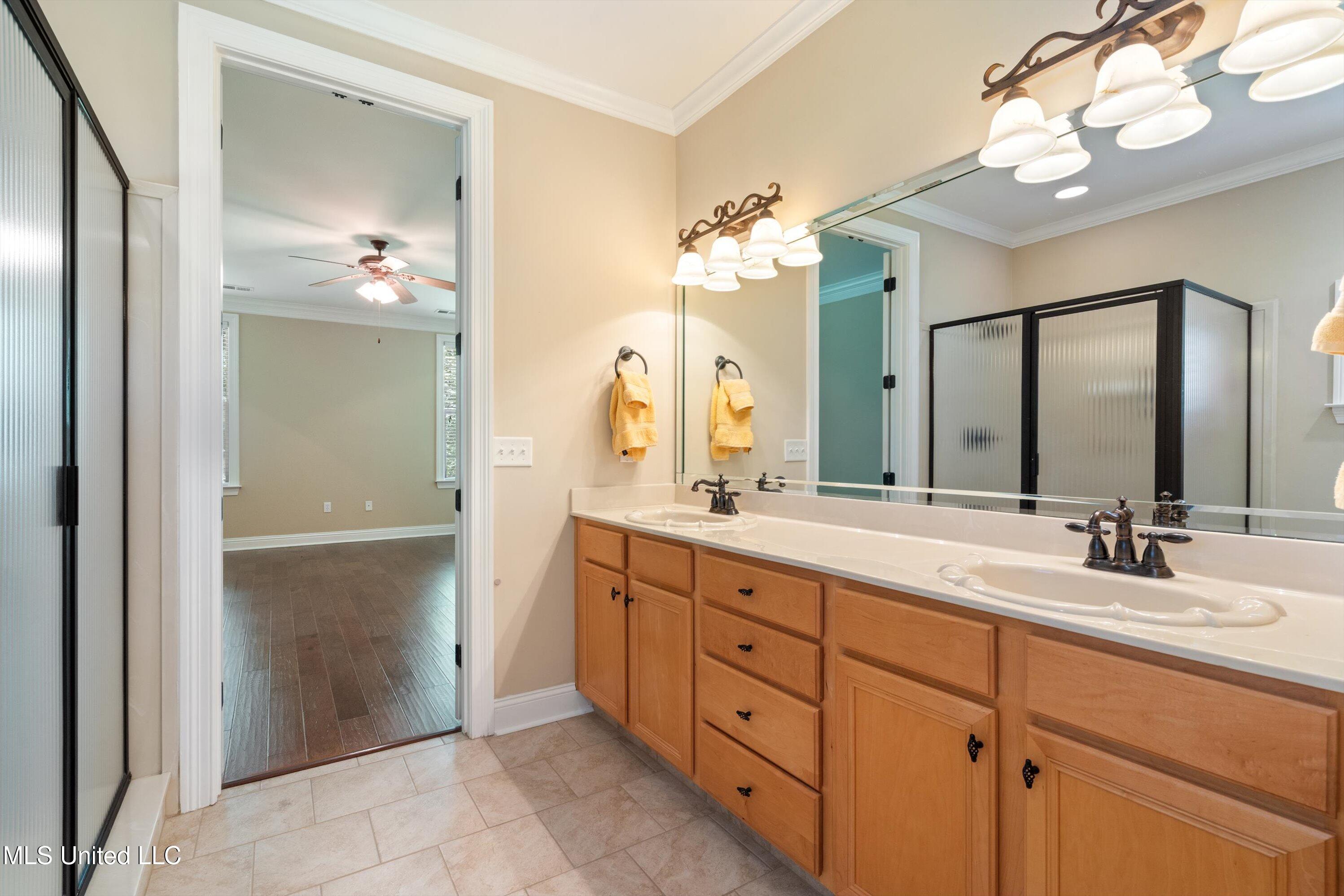 7672 Rigmoore Point North Olive Branch, MS 38654 - Photo 26 of 42 rig-primary bath 3