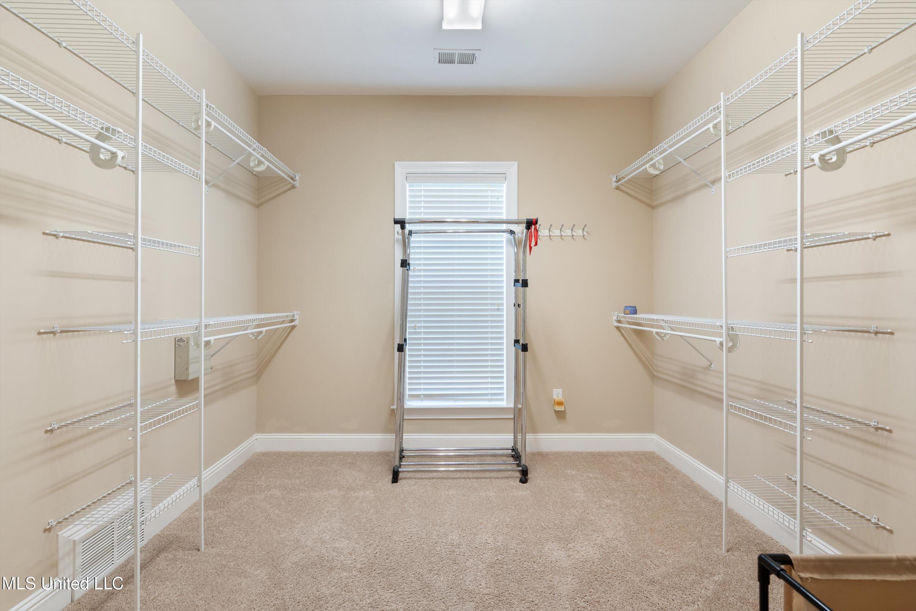 7672 Rigmoore Point North Olive Branch, MS 38654 - Photo 27 of 42 rig-primary closet