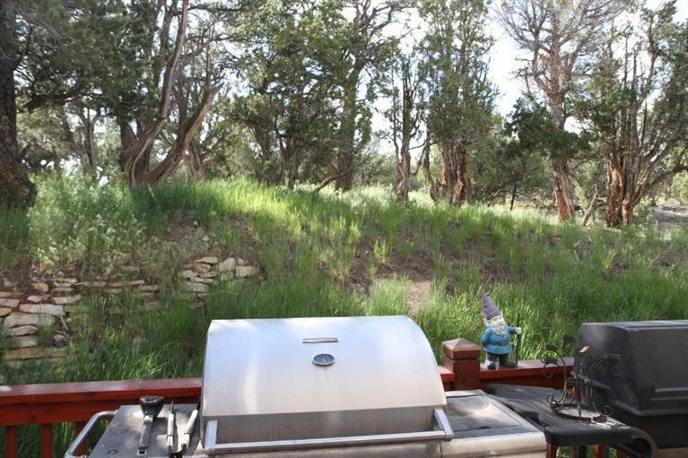 429 Neilson Gulch Road Eagle, CO 81631 - Photo 15 of 23 Additional Photo