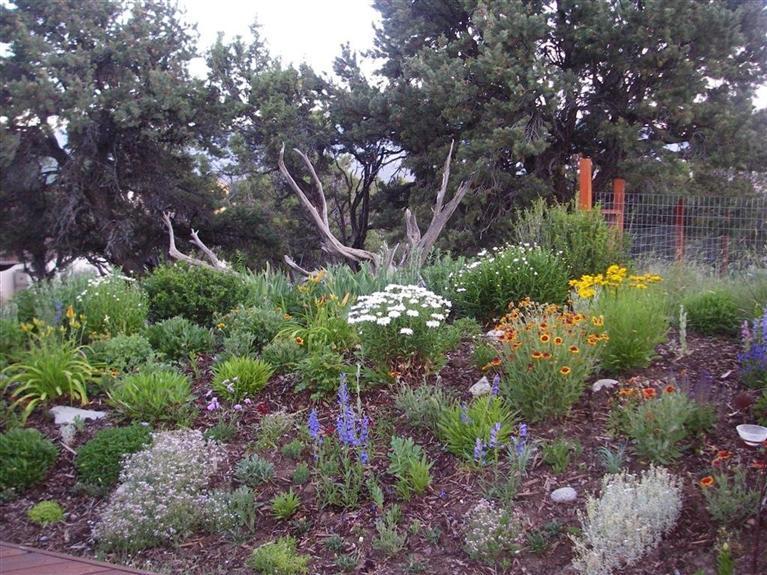 429 Neilson Gulch Road Eagle, CO 81631 - Photo 9 of 23 Garden when owner was in residence