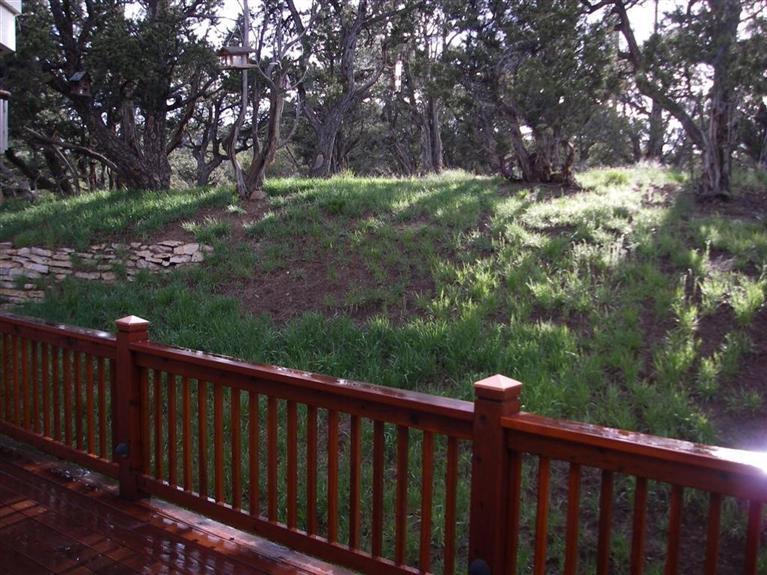 429 Neilson Gulch Road Eagle, CO 81631 - Photo 10 of 23 Deck to back yard