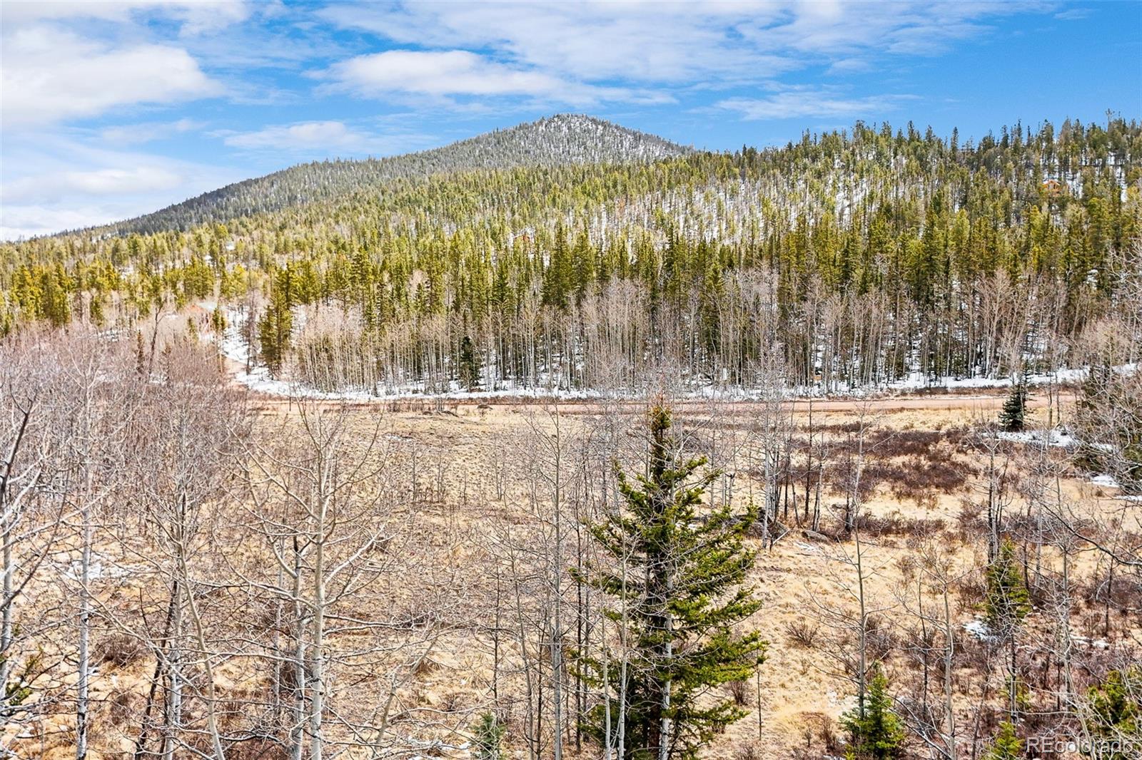 1199 Chippewa Road Jefferson, CO 80456 - Photo 2 of 19 Gallery Image 2