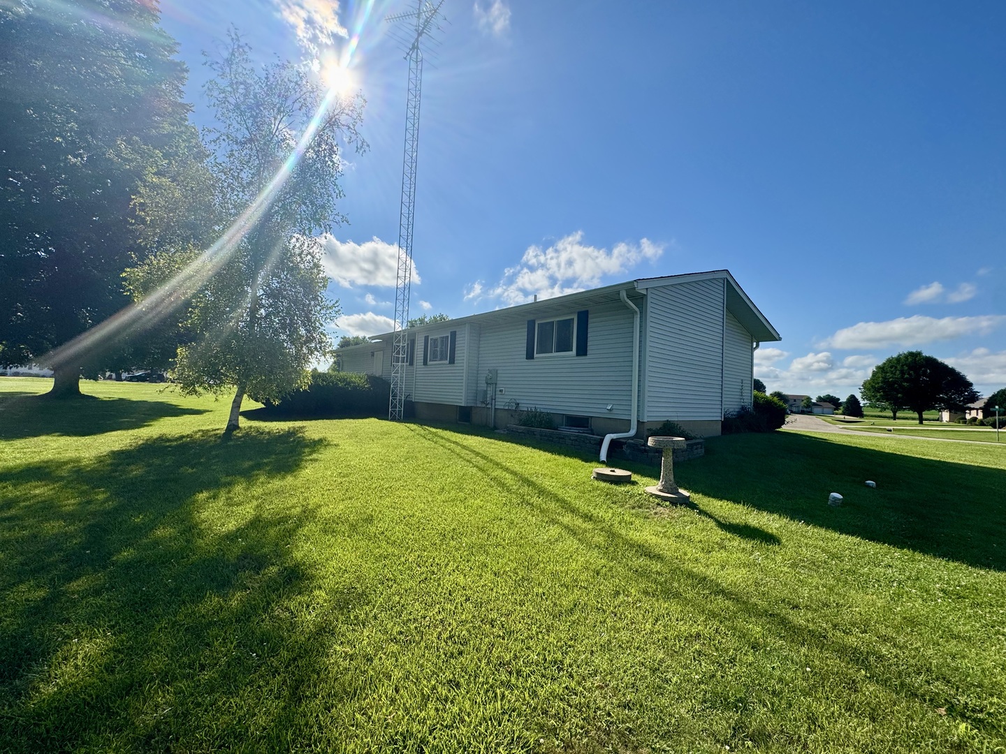 602 East Cherry Avenue Cherry, IL 61317 - Photo 6 of 21 a backyard of a house with lots of green space
