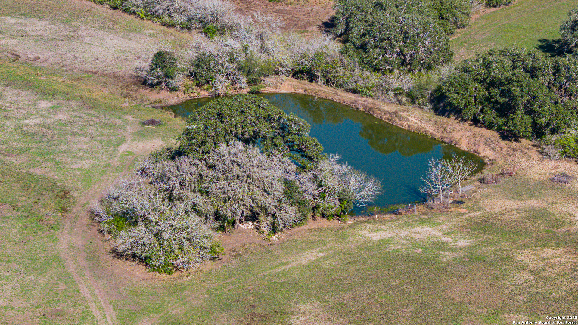 1173 Charco Road Beeville, TX 78102 - Photo 1 of 39 a view of a forest with a lake